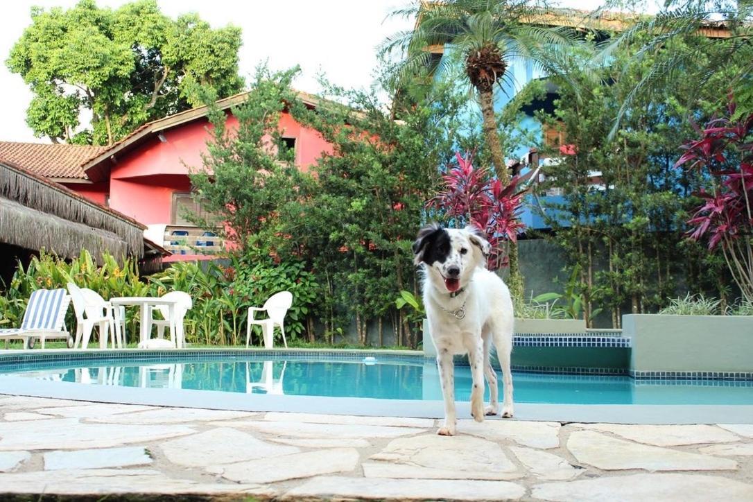 Pousada North Shore Maresias - 2 Quadras Da Praia - Casas De 2 Quartos - 80 M2 -2 Banheiros -Piscina Sauna - Estacion-Churrasq Privativa -Wifi Animais De Peq Porte Roupa De Cama E Banho Luaran gambar